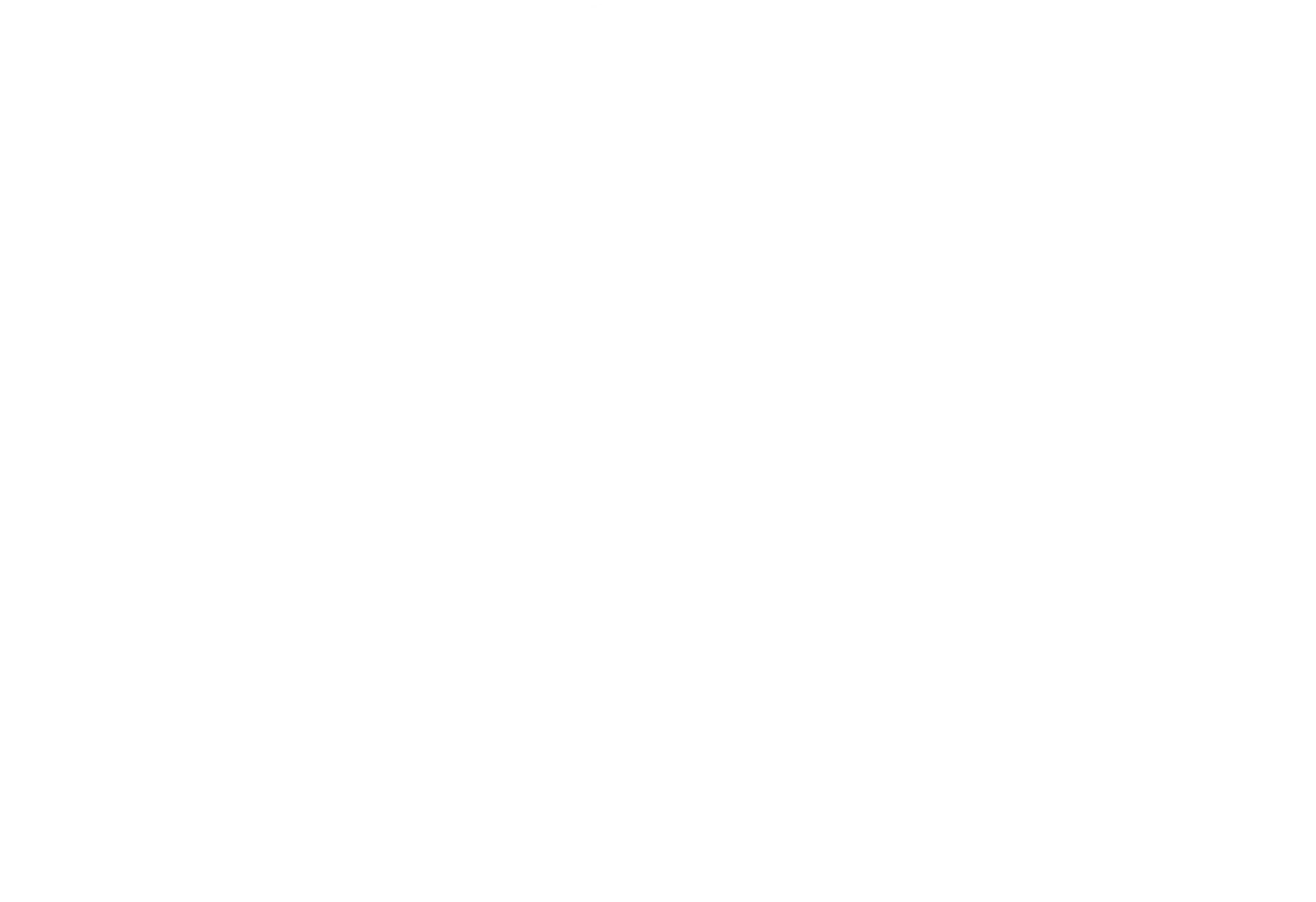 OPUS Carbon Ceramics